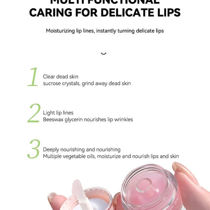 LEEINTO Honey Lip Balm Set Moisturizing Lip Balm Day and Night