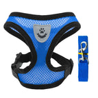 Blue / S  (1.5-2.5kg)