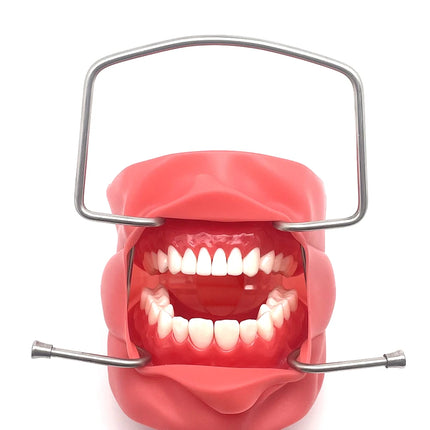 2pcs Dental Mouth Expand Lip Retractor Intraoral Cheek Stainless Steel Retractor Dentistry Material Tool