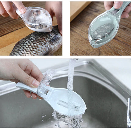 Fish Scale Scraper / Grattoir Écailles Poisson
