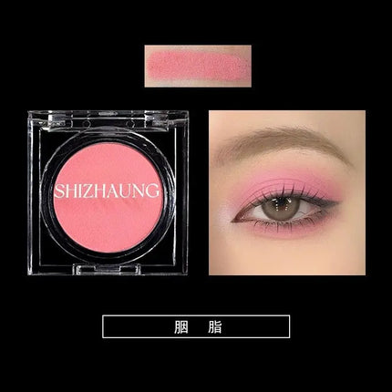 Chameleon Eyeshadow Powder Monochrome Matte Shimmer Metallic Glitter Gothic High Gloss High Colors Fine Flash lasting Eye Makeup