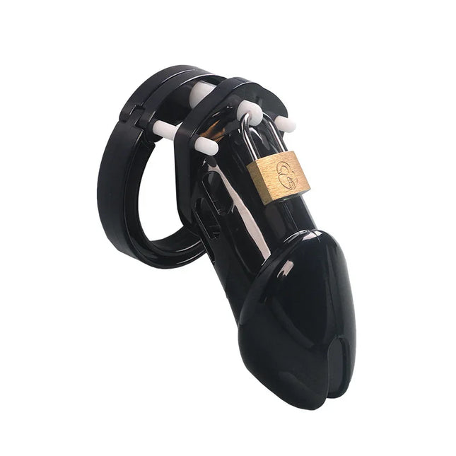 2 Size Male Chastity Cage Device Small/Standard Cock Cage with Rings Erotics Urethral Brass Lock Locking Sex Toys for Men Adults
