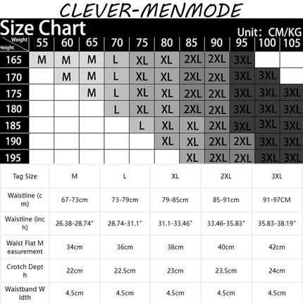 Men's Sexy Hollow Breathable Low-Waist Lingerie Mesh U Convex Big Penis Pouch Briefs Mini Micro Transparent See-Through Panties