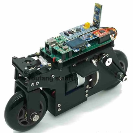 RC Tank 3D Printing Bike Cubli Balance Motorcycle APP Control 2WD Robotic Car for STM32 Programmable Robot Kit Robot Car Project