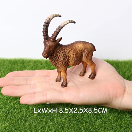 Realistic Farm Animal Shropshires Merino Sheep Goat Argali Antelope Gazella Waterbuck Model Figures Birthday Christmas Toys Gift
