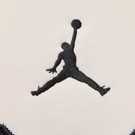Nike genuine Jordan Men's Fashion Breathable Sport Casual Jersey HV0110-133