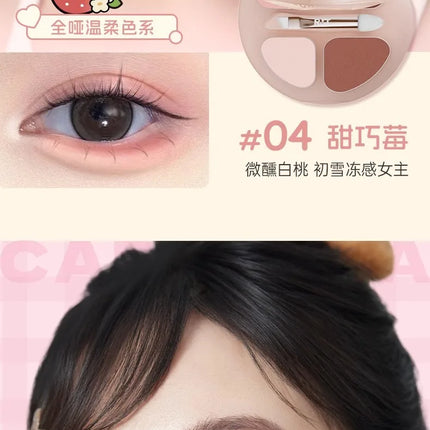 RMT Romantic Beauty Eye Shadow Silkworm Palette - Four Colors Matte Contouring & Brightening Eyeshadow Palette