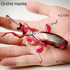 Orchid mantis