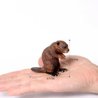 Beaver-4