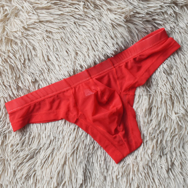 Sexy Men's See Through Mesh Briefs 3D Support Pouch Soft Silky Smooth Breathable Quick Dry Underwear