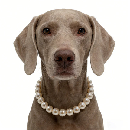 Dog Pearl Collars for Large Dogs Cats Pet Necklace Jewelry Chihuahua Yorkie Girl Clothing Dress Costume Accessories Wire Rope