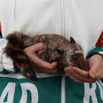 The Rocky Raccoon Robbie Magic Raccoon Tricks Props Comedy Mentalism Gimmick Spring Animal Appearing Stage Magic Funny Magia