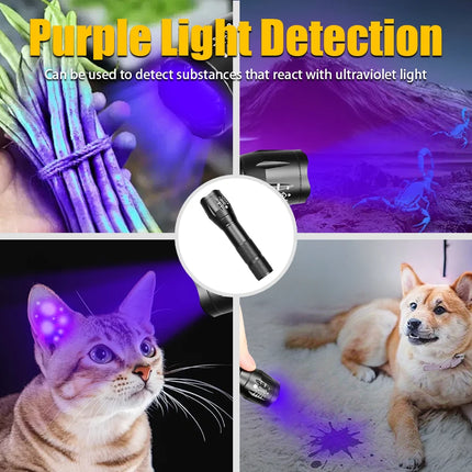 2 In 1 Ultraviolet Flashlight Purple White Dual Light Zoomable Torch Built in Battery Recharge Scorpion Hunting UV Flashlights