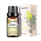 Ginger / 10ml