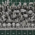 Desert plants