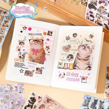 Cat Dog Stickers Book Value Set with 482/501pcs Meme Stickers Books for Scrapbook Journal and Planner Coil Bound Sticker Albums
