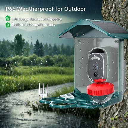 Jooan 4K Solar Bird Feed Camera 2.4G WiFi Outdoor IP Camera Feeder Waterproof HD Bird Video Night Vision Identify Birds Species