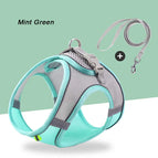 S (3-6 Kg) / Mint Green