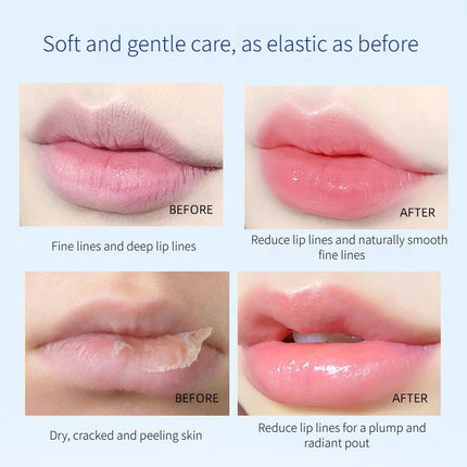 4/6PCS Lip Balm Lip Oil Set Hydrating Moisturizing Lip Mask Kit Winter Lip Care Oil Lipstick Base