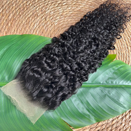 Burmese Curly 13x4 HD Transparent Lace Frontal Only Human Hair Free Part 10-22 Inch