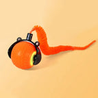 Orange / China Mainland