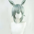 Wig with ears