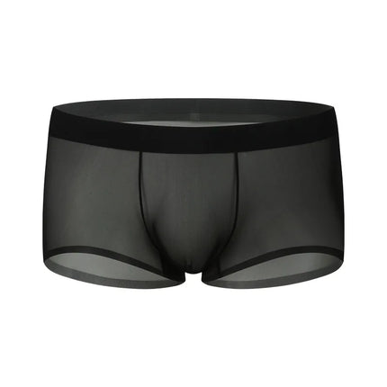 Ice Silk Transparent Boxer Shorts For Man Seamless Ultra-Thin Male Underpants Sexy Quick Dry Bulge Penis Pouch Panties Underwear