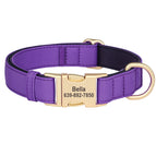 Purple / S