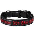 Black / M