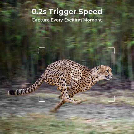 EU 4G Cellular 2K Battery Solar PIR Motion Activated Wildlife Hunting Trail Camera IP65 Outdoor Night Vision No Red Exposure
