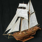 Type 1