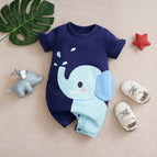 Navy Blue / 9-12M