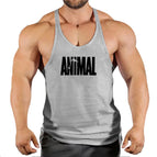1 / XXL