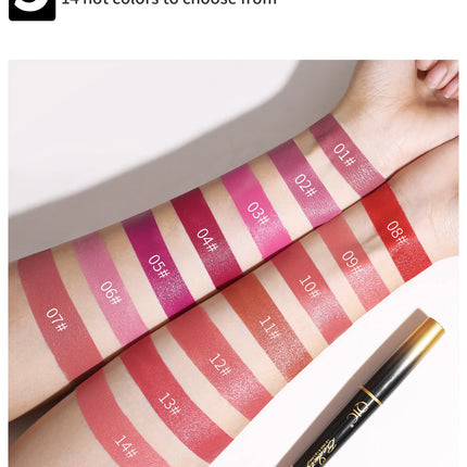 QIC Lipstick Lipliner Pen Matte Velvet Lip Liner Pencil Contour Makeup Sexy Red Lip Stick Long Lasting Cosmetics