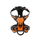 Orange / XL