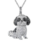 Shih Izu / 50cm