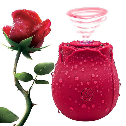 10 Speed Rose Suker Vibrator G-spot Dildo Clitoris Stimulating Sucking Female Sex Toy USB Rechargeable Rose-shaped Mini Massager