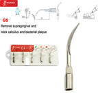 G5-5pcs / China Mainland