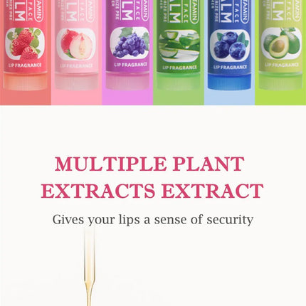 Pennyfun Fruit-Flavored Lip Balm Set: Ultra-Hydrating and Moisturizing Formula - Best-Selling Lip Treatment with a Variety