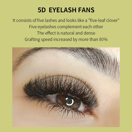 GLAMLASH 4D5D W Style Flower Lash Premade Volume Fans Eyelash Extension Natural Soft Light Lash W Shaped