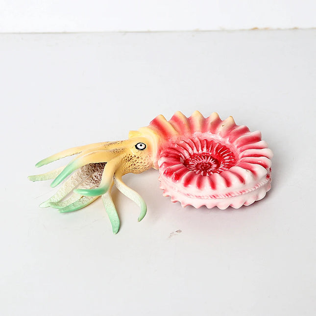 Simulation Marine Mollusc Plastic Model Figures Nautilus Ammonite Squid Octopus Figurine Sealife Animal Educational Toy For Kids