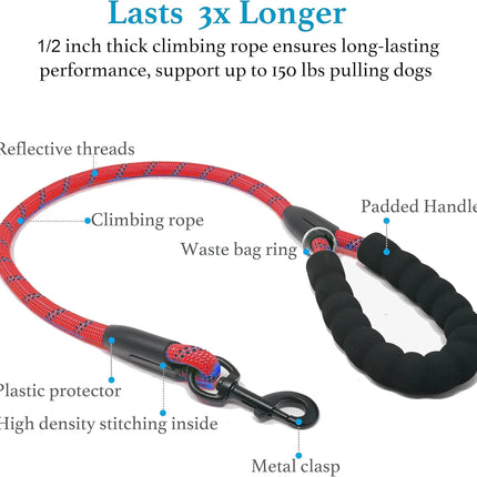 Double Dog Leash, Dual Dog Leash, 360 Swivel Tangle Free Bungee Walking Training Leash for Large Medium Dogs, Shock Absorbing Bu