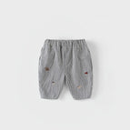 stripe / China Mainland / 4T