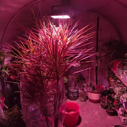Solar Powered LED Plant Grow Lights with Remote Control Garden Dimmable Grow Lamp Full Spectrum Timer Setting Greenhouse