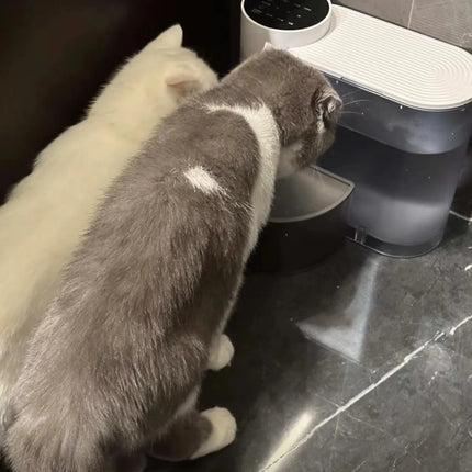 Pet water dispenser, dog and cat water dispenser, dumping cat water dispenser, running water charging automatic water feeder