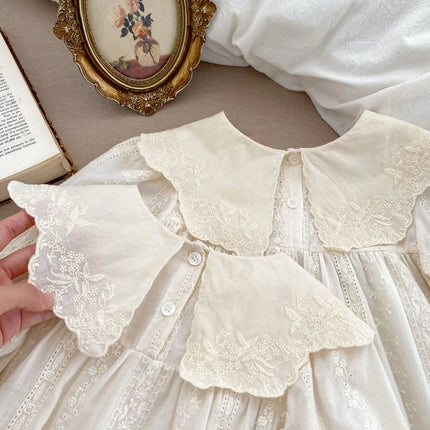 2026 Spring Princess Infant Baby Girl Bodysuit Sisters Dress Flower Embroidery Dress For Infant Sibling Girls Toddler Outfit