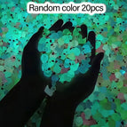 20pcs