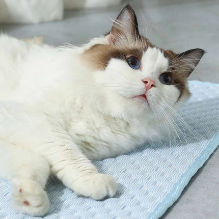 Cat Cooling Mat Summer Pet Dog Cold Ics Nest Breathable Bed For Small Dogs Pet Accessories Cat Durable Blanket Sofa Cat Ice Pad