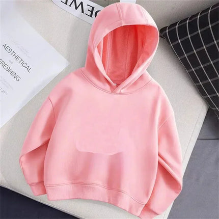 Boys and Girls Children's Hoodies, Children's Autumn and Winter Casual Fashion Sports Kids Hoodies