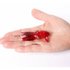 squid-2